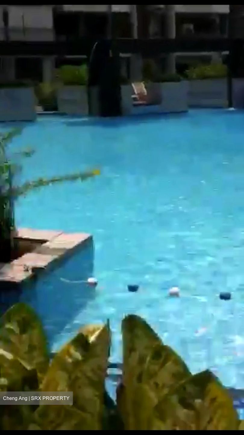 The Stellar (D5), Condominium #504513791